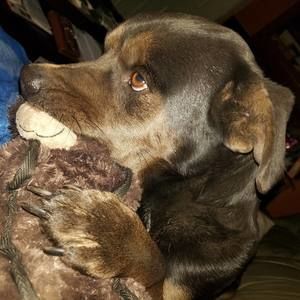 Meet your Posher, Debra